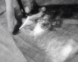 Film Reliephographie 1947 extrait du film 1947 "La Technique Moderne au service ce la Photographie en Relief"