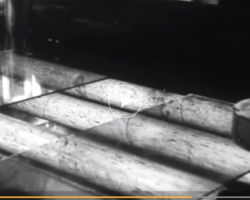 Film Reliephographie 1947 extrait du film 1947 "La Technique Moderne au service ce la Photographie en Relief"